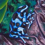 Poison Dart Frog #2 - Posted on Friday, December 26, 2014 by Laura Wolf