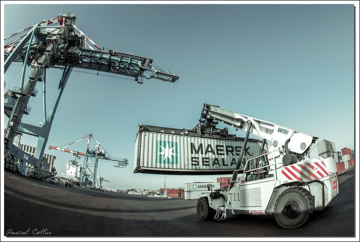 Infos - les Ports, et Infrastuctures maritimes Ob_69964c_tmdc-montoir-t9150