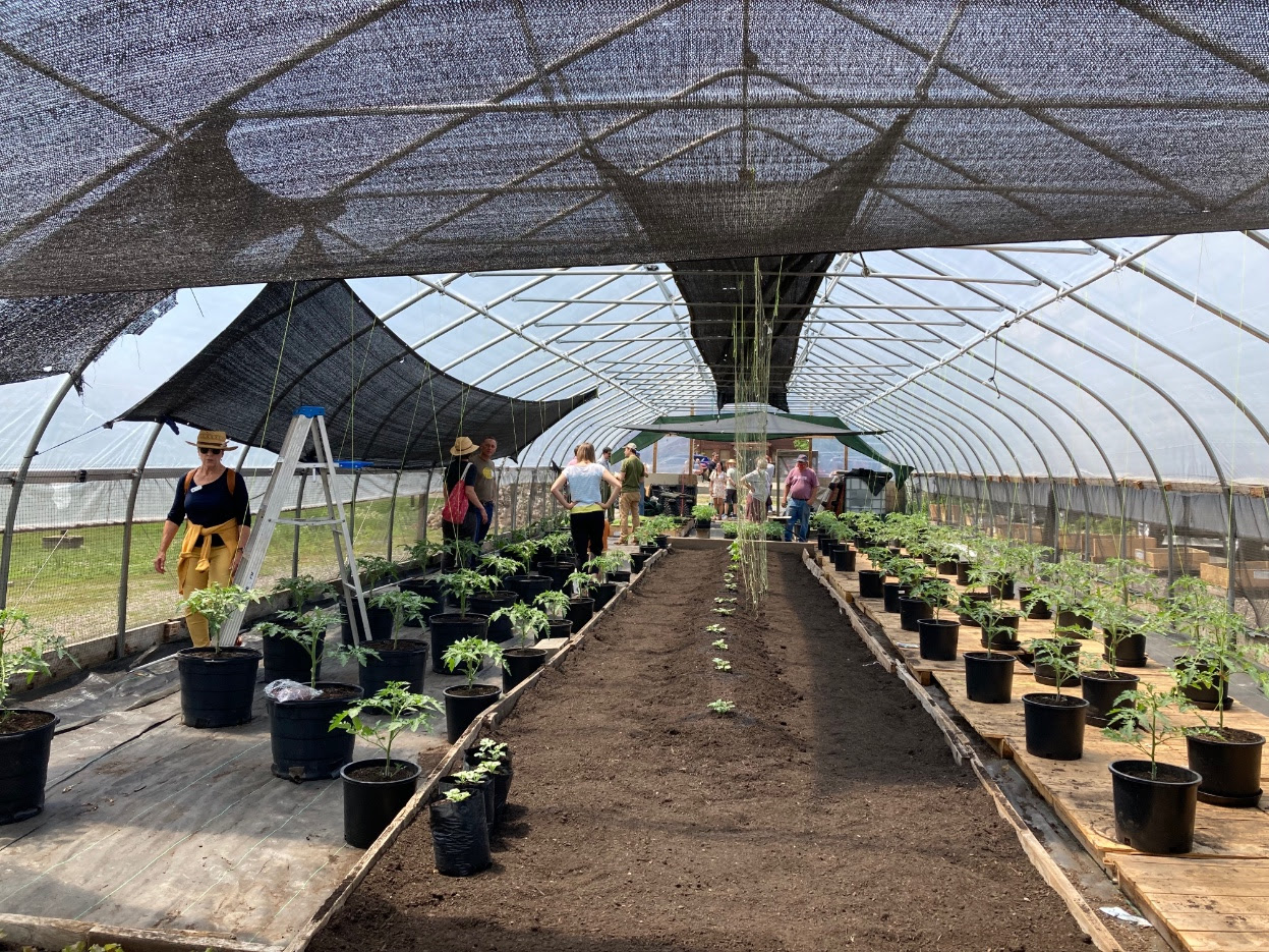 2022_June_10_TC_Growers_Bullthistle_Gardens-20%20for%20email.jpg