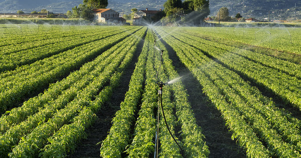 Gestion quantitative de l'eau : l'organisme unique de gestion collective doit gagner en efficacité