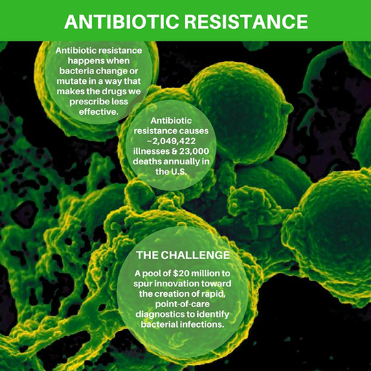 Antimicrobial Resistance Diagnostic Challenge graphic