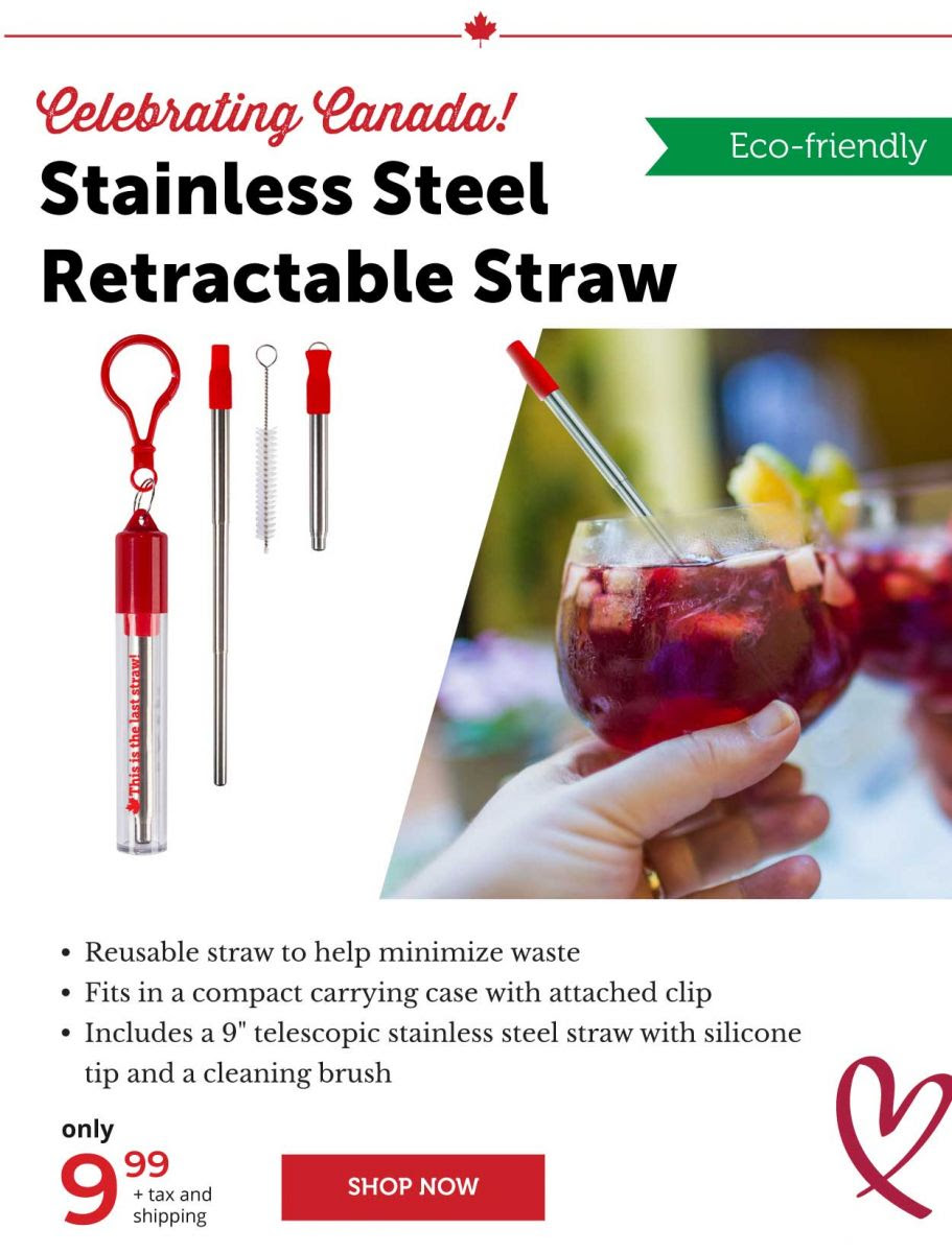 Stainless Steel Retractable Straw