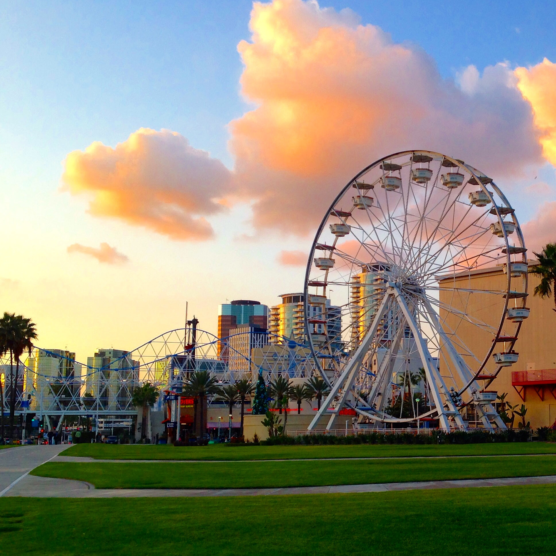 Day trips from long beach long beach to griffith park long beach to hollywood walk of fame long beach to long beach long beach to venice beach categories tours, sightseeing & cruises cruises. Best Things To Do In Long Beach Growing Up Bilingual