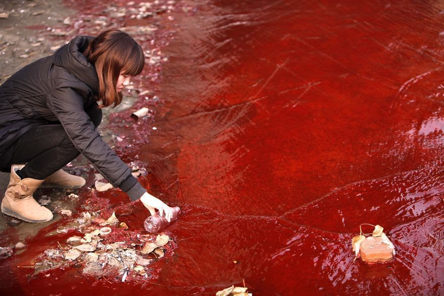 environmental-problems-pollution-16__880.