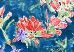 Indian Paintbrush - Posted on Tuesday, November 11, 2014 by Leslie Reid Brasher