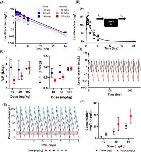 Researchers study relationship between epilepsy drug and Alzheimer's disease