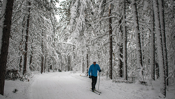 cross-country skier on Blueberry Ridge Pathway