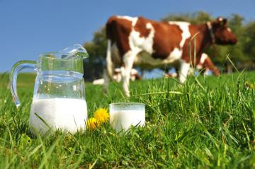 Producción mundial de leche alcanzó los 544.1 millones de toneladas en 2021