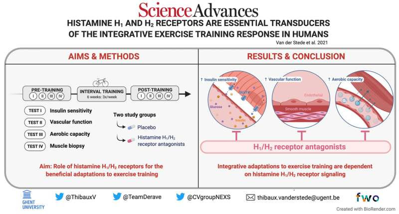 Histamine suppressing drugs found to reduce benefits of exercise