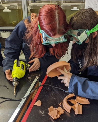 Marine Bio seniors in the lab