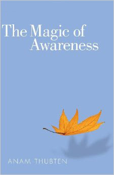 The Magic Of Awareness PDF