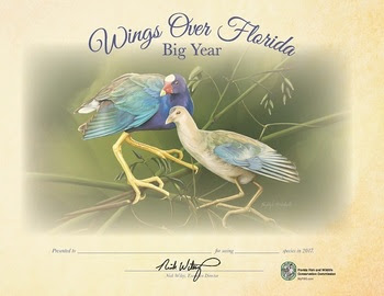 2017 Big Year Certificate