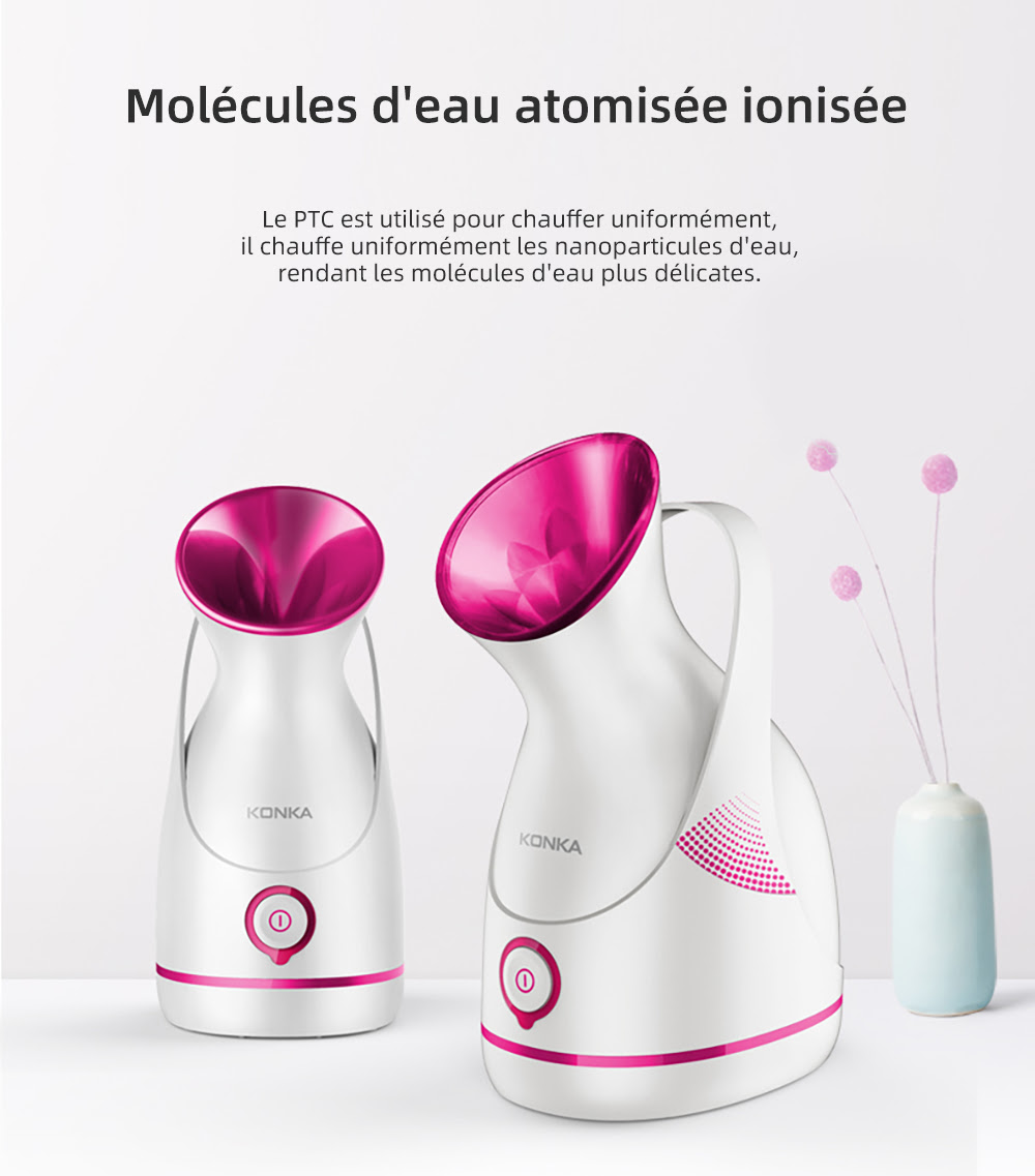 Appareil électrique à vapeur pour le visage