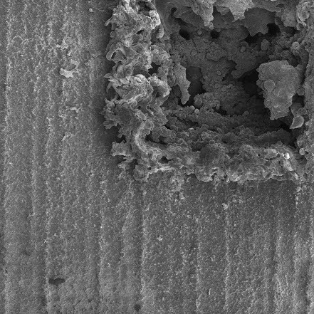 Cellules d'un code Data Matrix gravé sur une surface en aluminium, visualisées au microscope électronique. Une partie de la surface montre une absorption causée par des changements chaotiques de rugosité.