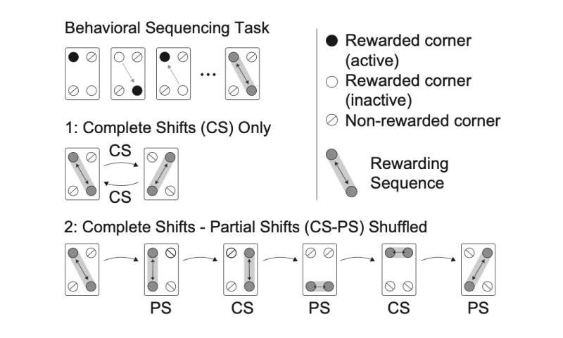 SUV39H2: A direct genetic link to autism spectrum disorders