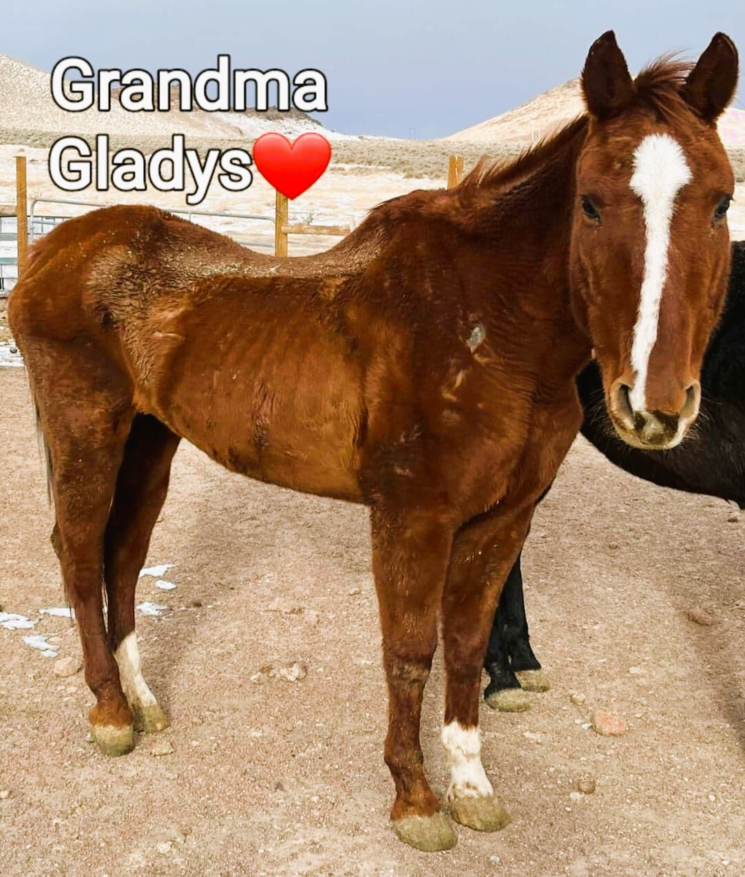 Grandma Gladys 7