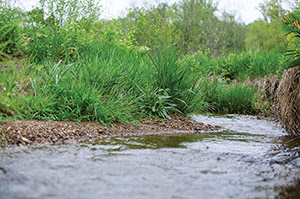 Photo of clear stream water