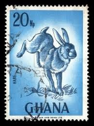 rabbit stamp ghana