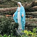 Imagen de la Virgen María queda intacta luego del paso del huracán Ida 