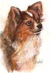 5x7 Long Haired Chihuahua Brown and White Dog Pet Portrait by Penny StewArt - Posted on Saturday, January 3, 2015 by Penny Lee StewArt