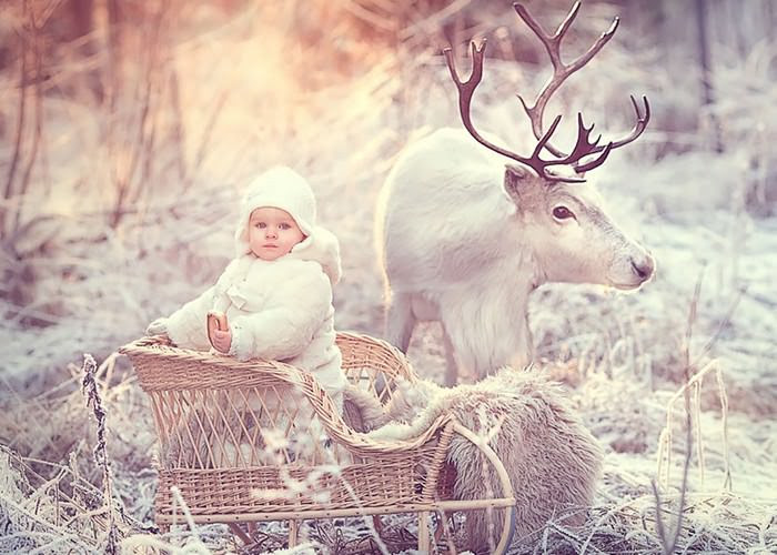 photos Elena                                                      Shumilova