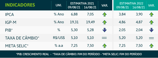 grafico-focus-nn-ed-66