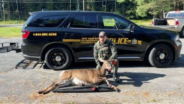 ECO with illegally killed deer