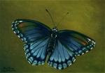 Red-spotted Purple Butterfly - Posted on Friday, March 20, 2015 by Faith Te
