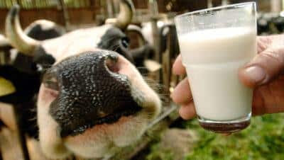 How To Handle Raw Milk … And Even Make It Last Longer Raw-milk--400x226