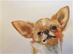 aye chihuahua! - Posted on Thursday, April 2, 2015 by Cindy McDonough