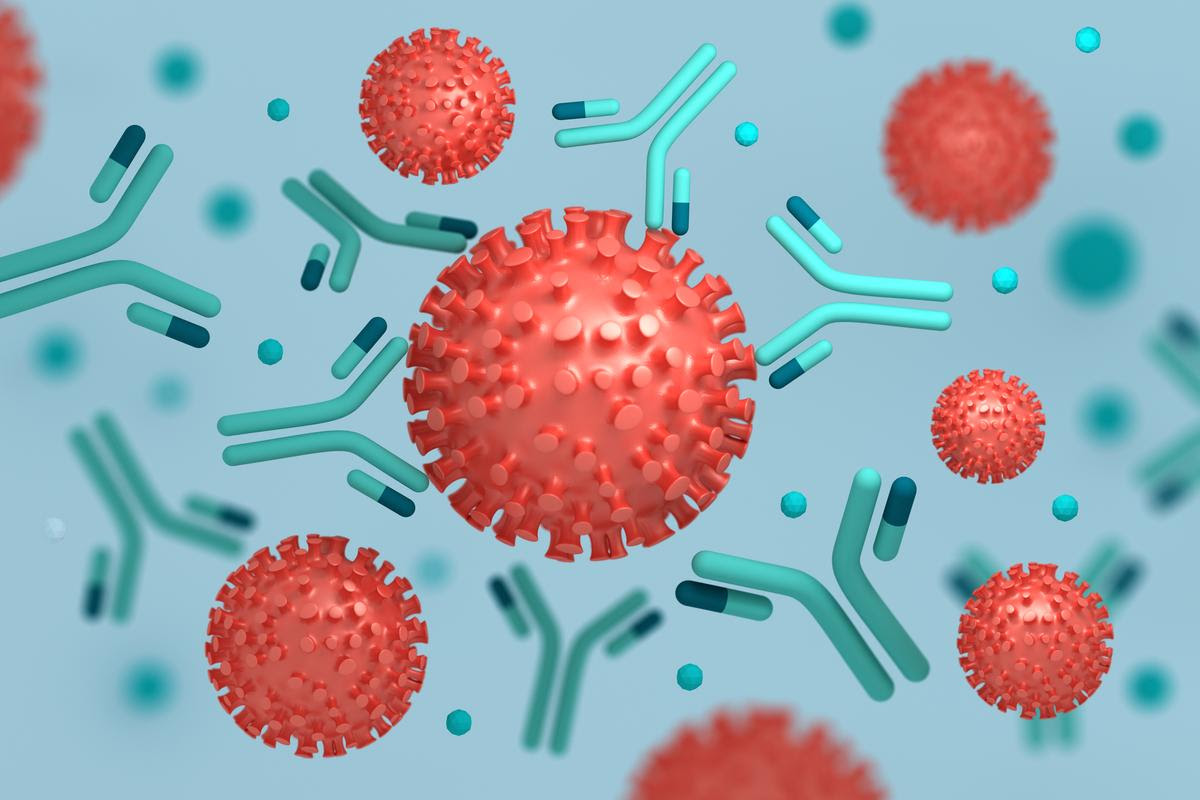 A new study describes a part of the coronavirus spike protein shared across all variants that makes it vulnerable to novel antibodies targeting that region