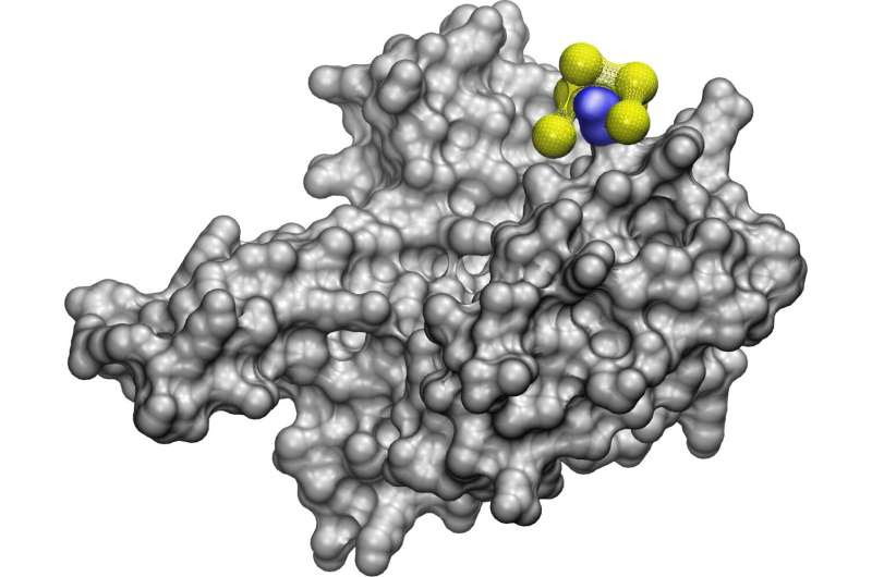 Nanobiotics: AI for discovering where and how nanoparticles bind with proteins