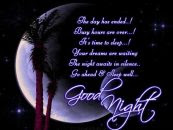 Good Night Wishes & Sleep Well Quotes