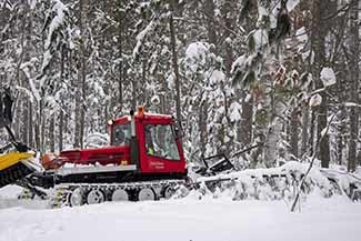 A piston bully pushes trees from a ski trail.