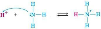 reazione tra nh3 e un protone