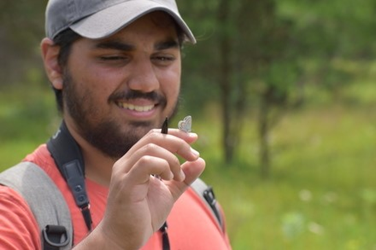 Rahul Sabnis, a Summer 2022 intern, with a Karner Blue Butterfly.