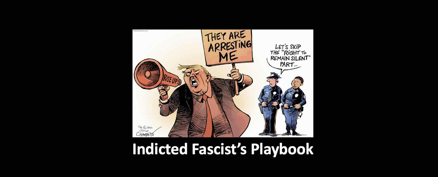 Indicted fascist's playbook.