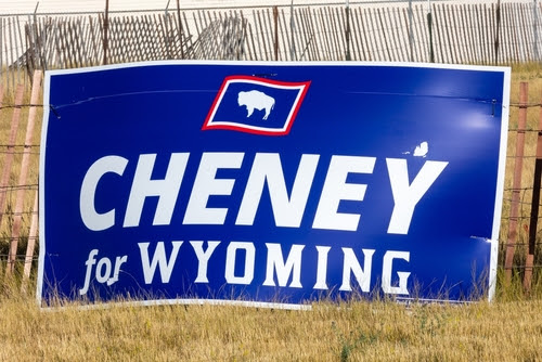 Liz Cheney's NEXT TARGET Revealed? - Get Ready!