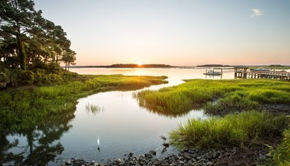 Discover a Perfect Paradox in the South Carolina Lowcountry image