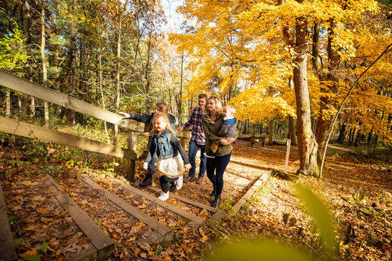 Family hiking up wooden stairs surrounded by yellow fall foliage