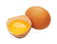 Egg Safety