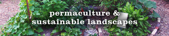 Permaculture & Sustainable Landscapes Classes