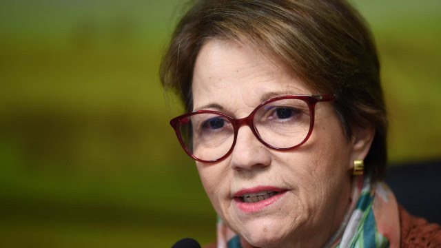 Bolsonaro anuncia Tereza Cristina ao Senado e estreita opções para vice