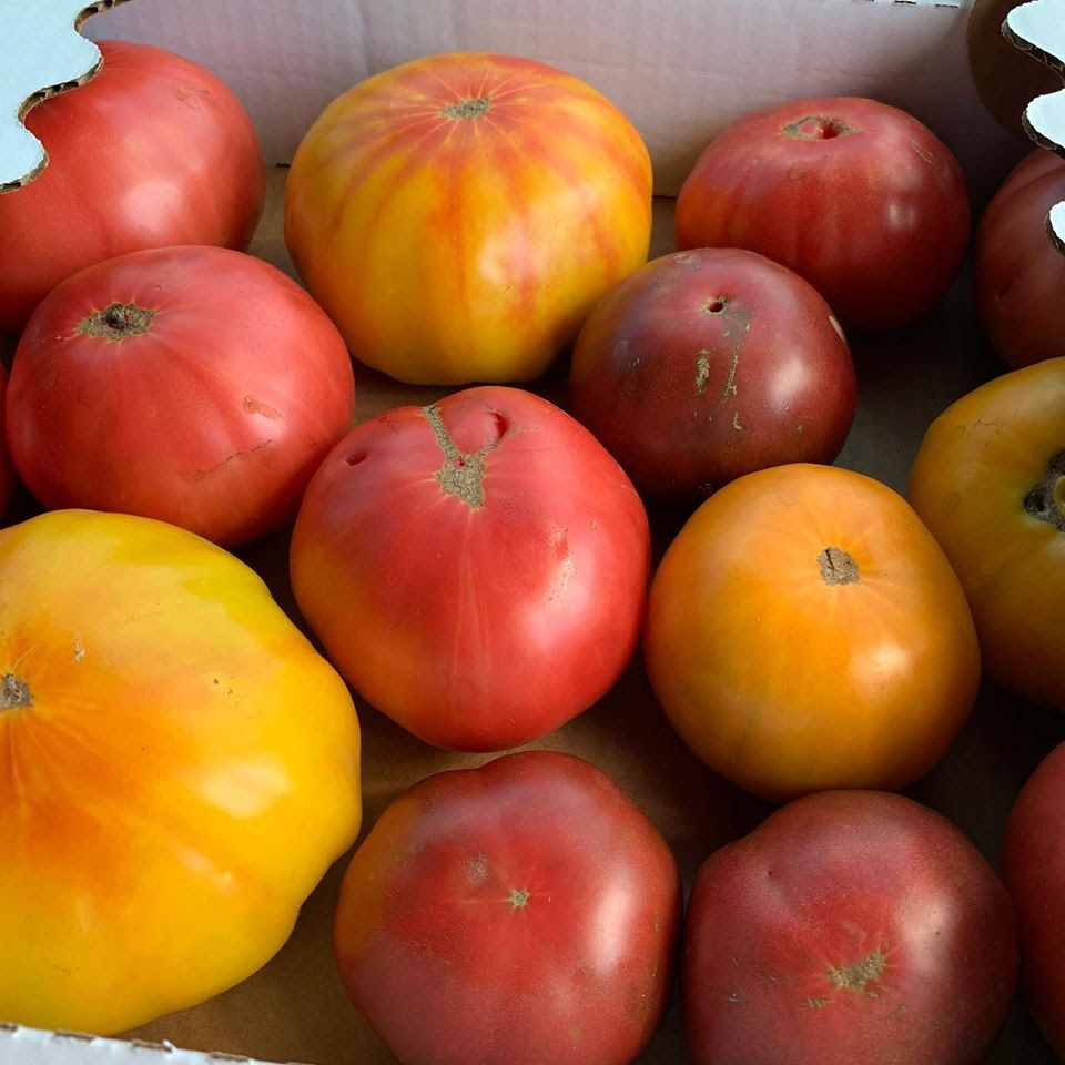 Heirloom tomatoes 10lb flat