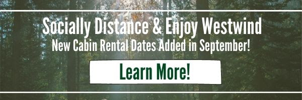 Cabin Rental Banner.jpg