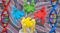 individuals holding puzzle pieces standing on microbiome cells and DNA