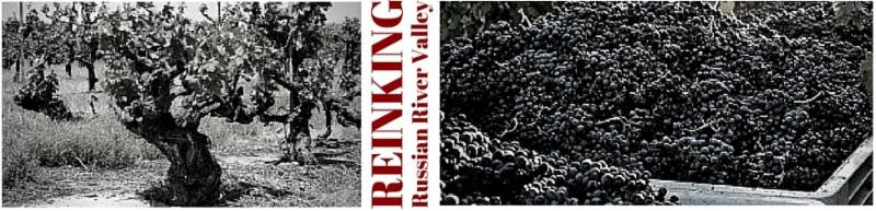 REINKING - Russian River Valley