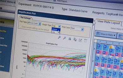 Computer monitor showing graphs