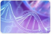 Supercoiled Minicircle DNA Analysis: A Quality Assessment Based on Chromatographic Analysis