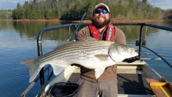 40lb striper